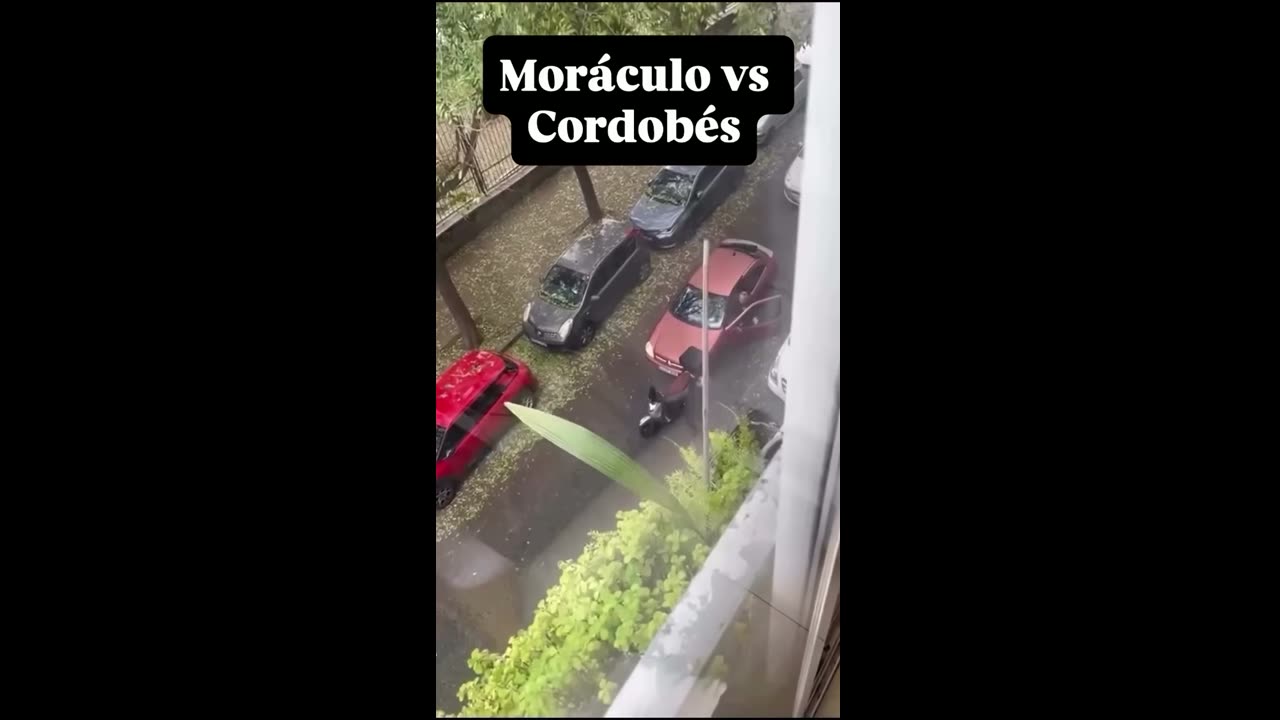 Ciudadano de Córdoba le da lección de civismo a un marroquí
